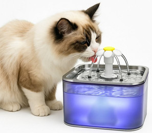 Produktbild von Refined Living Trinkbrunnen Katzenbrunnen Edelstahl 3L mit LED-Licht und Aktivkohlefilter - 3 l