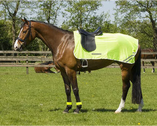 Produktbild von Reflektierende Nierendecke QHP