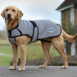 Produktbild von Reflektierender Hundemantel Weatherbeeta Comfitec