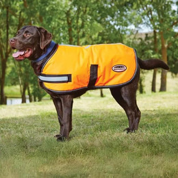 Produktbild von Reflektierender Hundemantel Weatherbeeta Comfitec Parka 300D