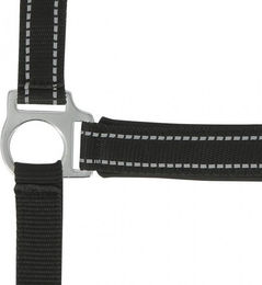 Reflektierendes Halfter Norton – Bild 1 von 2