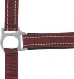 Produktbild von Reflektierendes Halfter Norton