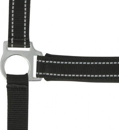 Produktbild von Reflektierendes Halfter Norton