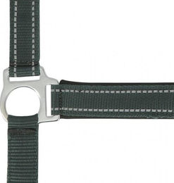 Reflektierendes Halfter Norton – Bild 1 von 3