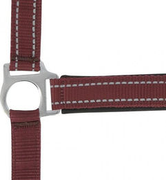 Reflektierendes Halfter Norton – Bild 1 von 3