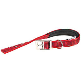 Reflektierendes Hundehalsband DAYTONA DELUXE C25/45 gepolstert – Bild 1 von 3