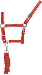 Produktbild von Reflektierendes Nylonhalfter und Führstrick für Pferde Supreme