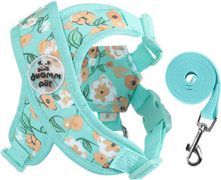 Produktbild von Refttenw Hunde-Geschirr Hundegeschirr mit Hundeleine Kleine