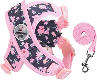 Produktbild von Refttenw Hunde-Geschirr Hundegeschirr mit Hundeleine Kleine