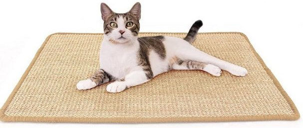 Produktbild von Refttenw Kratzmatte Sisal 20x40cm - 20 cm