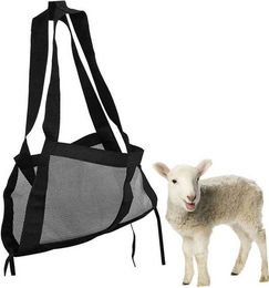 Produktbild von Refttenw Tierreisekorb Wadenschlinge zum Wiegen von Tieren mit D-Ring