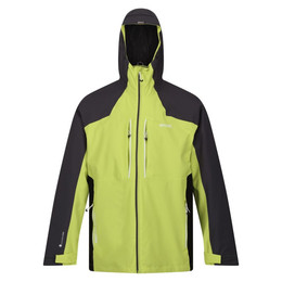 Produktbild von Regatta Herren Softshelljacke Raddick Grün/Schwarz
