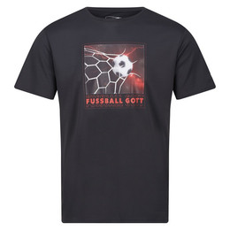 Produktbild von Regatta Herren T-Shirt Fingal Slogan III Dunkelgrau XL