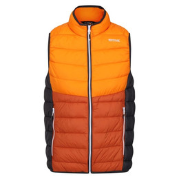 Produktbild von Regatta Herren Weste Harrock Orange