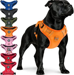 Reichstadt Hunde-Geschirr RS Pets Norwegergeschirr 25RSP083, Polyester, atmungsaktives Netzgewebe und robuster Oxford-Stoff – Bild 1 von 5