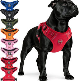 Reichstadt Hunde-Geschirr RS Pets Norwegergeschirr 25RSP083, Polyester, atmungsaktives Netzgewebe und robuster Oxford-Stoff – Bild 1 von 5