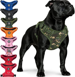 Produktbild von Reichstadt Hunde-Geschirr RS Pets Norwegergeschirr 25RSP083, Polyester, atmungsaktives Netzgewebe und robuster Oxford-Stoff