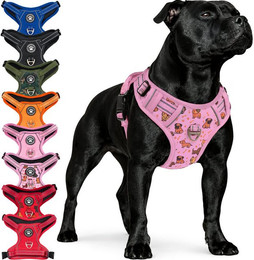 Produktbild von Reichstadt Hunde-Geschirr RS Pets Norwegergeschirr 25RSP083, Polyester, atmungsaktives Netzgewebe und robuster Oxford-Stoff