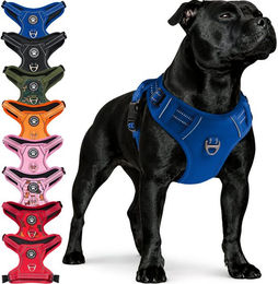 Produktbild von Reichstadt Hunde-Geschirr RS Pets Norwegergeschirr 25RSP083, Polyester, atmungsaktives Netzgewebe und robuster Oxford-Stoff