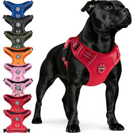 Reichstadt Hunde-Geschirr RS Pets Norwegergeschirr 25RSP083, Polyester, atmungsaktives Netzgewebe und robuster Oxford-Stoff – Bild 1 von 9