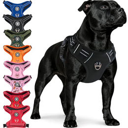 Reichstadt Hunde-Geschirr RS Pets Norwegergeschirr 25RSP083, Polyester, atmungsaktives Netzgewebe und robuster Oxford-Stoff – Bild 1 von 9