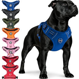 Reichstadt Hunde-Geschirr RS Pets Norwegergeschirr 25RSP083, Polyester, atmungsaktives Netzgewebe und robuster Oxford-Stoff – Bild 1 von 9