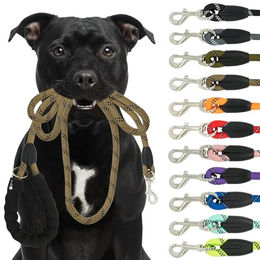 Reichstadt Hundeleine RS Pets Führleine Nylon 25RSP084, Nylon, Ergonomischer EVA-gepolsterter Griff für Blasenschutz – Bild 1 von 8