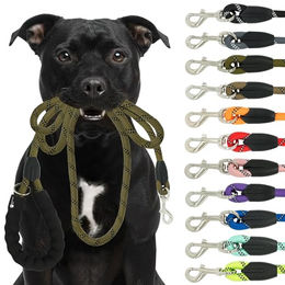 Reichstadt Hundeleine RS Pets Führleine Nylon 25RSP084, Nylon, Ergonomischer EVA-gepolsterter Griff für Blasenschutz – Bild 1 von 8