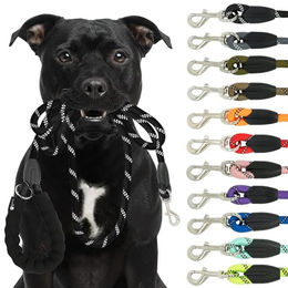 Reichstadt Hundeleine RS Pets Führleine Nylon 25RSP084, Nylon, Ergonomischer EVA-gepolsterter Griff für Blasenschutz – Bild 1 von 7