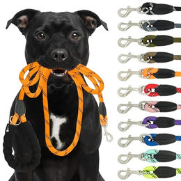 Reichstadt Hundeleine RS Pets Führleine Nylon 25RSP084, Nylon, Ergonomischer EVA-gepolsterter Griff für Blasenschutz – Bild 1 von 8