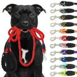 Reichstadt Hundeleine RS Pets Führleine Nylon 25RSP084, Nylon, Ergonomischer EVA-gepolsterter Griff für Blasenschutz – Bild 1 von 8