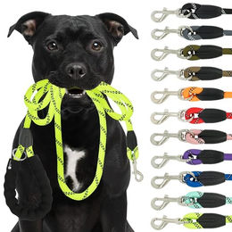 Reichstadt Hundeleine RS Pets Führleine Nylon 25RSP084, Nylon, Ergonomischer EVA-gepolsterter Griff für Blasenschutz – Bild 1 von 8