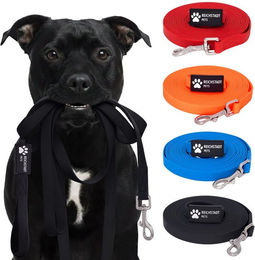 Reichstadt Hundeleine RS Pets Führleine PVC 25RSP086, PVC, Weiche Handschlaufe mit Soft-Wrist-Strap – Bild 1 von 5