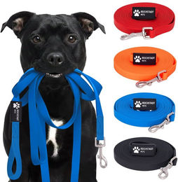 Reichstadt Hundeleine RS Pets Führleine PVC 25RSP086, PVC, Weiche Handschlaufe mit Soft-Wrist-Strap – Bild 1 von 5