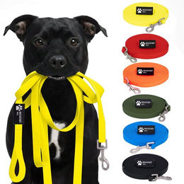 Reichstadt Hundeleine RS Pets Führleine Texturierte PVC 25RSP085, PVC, Weiche Handschlaufe mit Soft-Wrist-Strap – Bild 1 von 5