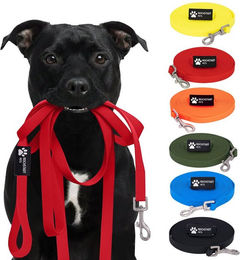 Reichstadt Hundeleine RS Pets Führleine Texturierte PVC 25RSP085, PVC, Weiche Handschlaufe mit Soft-Wrist-Strap – Bild 1 von 5