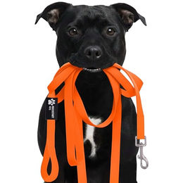 Reichstadt Hundeleine RS Pets Führleine Texturierte PVC 25RSP085, PVC, Weiche Handschlaufe mit Soft-Wrist-Strap – Bild 1 von 8