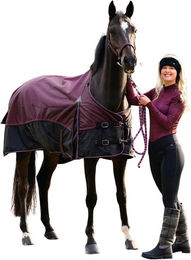 Produktbild von Reit-Polo mit langen Ärmeln, Damen QHP Zahra