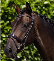 Produktbild von Reiterbraut Premier Equine Finetti