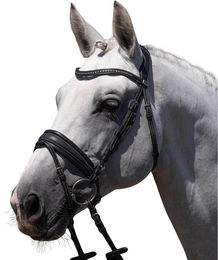 Produktbild von Reiterbraut Premier Equine Veneto