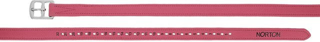 Produktbild von Reitgurte Norton Pop
