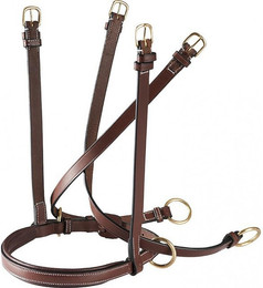 Produktbild von Reithalfter bitless Eric Thomas Pro