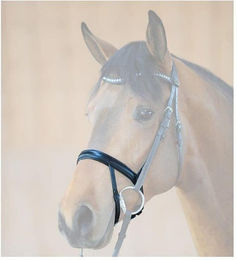 Produktbild von Reithalfter mit eingebautem Blitz Kavalkade