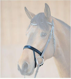 Produktbild von Reithalfter mit eingebautem Blitz Kavalkade