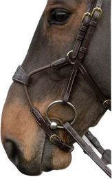 Produktbild von Reithalfter Pferd Dy'on Hybride