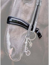 Produktbild von Reithalfter Pferd PS of Sweden Passage Lacquered