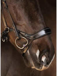 Produktbild von Reithalfter Pferd PS of Sweden Pioneer