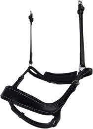 Produktbild von Reithalfter Pferd PS of Sweden Pioneer