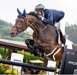 Produktbild von Reithandschuhe Damen NGB Sport