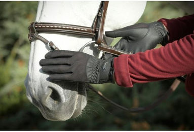 Produktbild von Reithandschuhe für das Turnierreiten Pénélope
